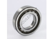 NUP209-ECP-SKF