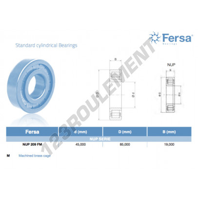 NUP209-FM-ASFERSA