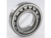 NUP210-ECJ-SKF