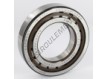 NUP211-ECP-SKF