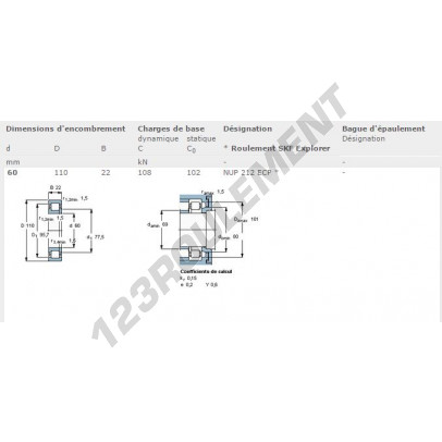 NUP212-ECP-SKF