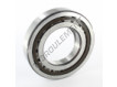 NUP213-ECP-SKF