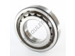 NUP213-ECP-SKF