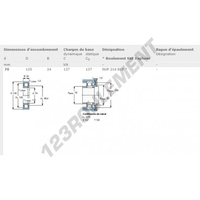 NUP214-ECP-SKF