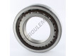NUP214-SKF