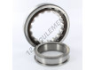NUP214-SKF