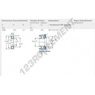 NUP220-ECP-SKF