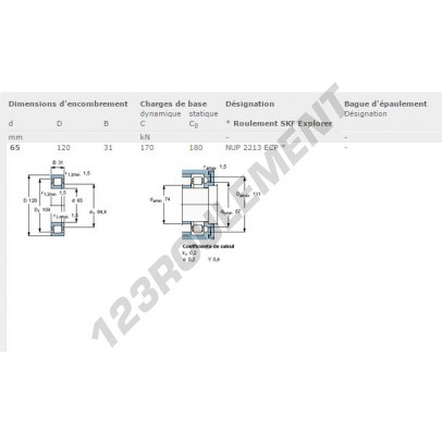 NUP2213-ECP-SKF