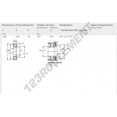 NUP222-ECP-SKF