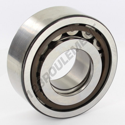 NUP2309-ECP-SKF
