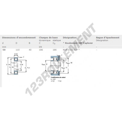 NUP2310-ECP-SKF