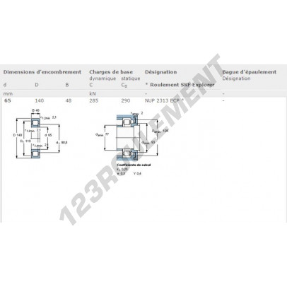 NUP2313-ECP-SKF