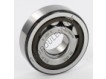 NUP304-ECP-SKF
