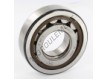 NUP307-ECP-SKF