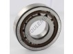 NUP308-ECP-SKF