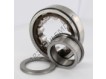 NUP308-ECP-SKF