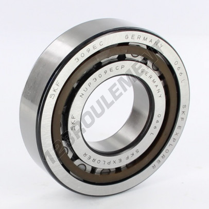 NUP309-ECP-SKF