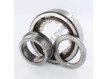 NUP309-ECP-SKF