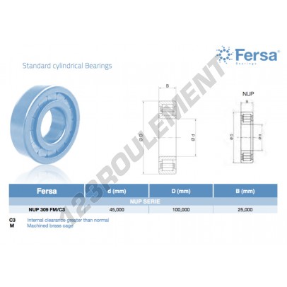NUP309-FM-C3-ASFERSA
