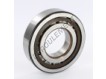 NUP310-ECP-SKF