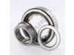 NUP310-ECP-SKF