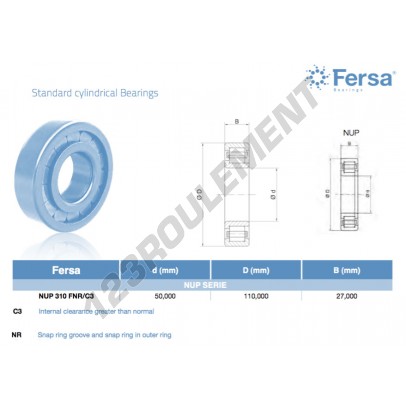 NUP310-FNR-C3-ASFERSA