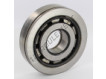 NUP407N