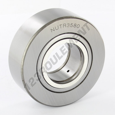 NUTR3580
