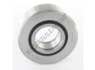 NUTR4090-NTN