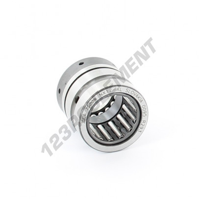NX17-SKF
