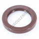 Joint SPI - OA-55X78X10-FPM