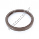 Joint SPI - OAS-100X120X12-FPM