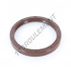 Joint SPI - OAS-100X120X13-FPM