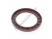 OAS-100X140X12-FPM