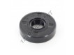 OAS-15X42X10-NBR