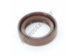 OAS-17X25X6-FPM