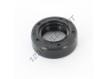 OAS-17X30X10-NBR
