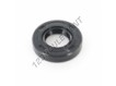 OAS-17X33X7-NBR