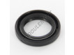OAS-19X29X5-NBR