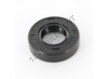 OAS-19X38X10-NBR