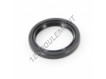 OAS-22X29X4-NBR