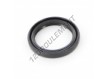 OAS-22X29X4-NBR