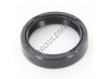 OAS-25X31X7-NBR