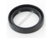 OAS-28X37X7-NBR