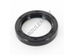 OAS-44.50X62X10-NBR