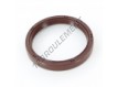 OAS-50X60X8-FPM