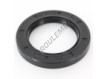 OAS-54X81X10-NBR