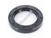 OAS-54X81X12-NBR