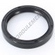 Joint SPI - OAS-55X67X10-NBR