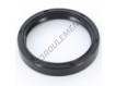 OAS-55X67X10-NBR